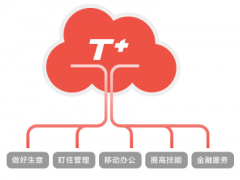 T+（小微企业平台-新零售、商贸）